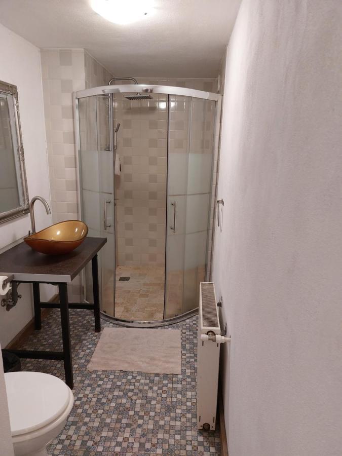 Poet Pastior Residence سيبيو المظهر الخارجي الصورة